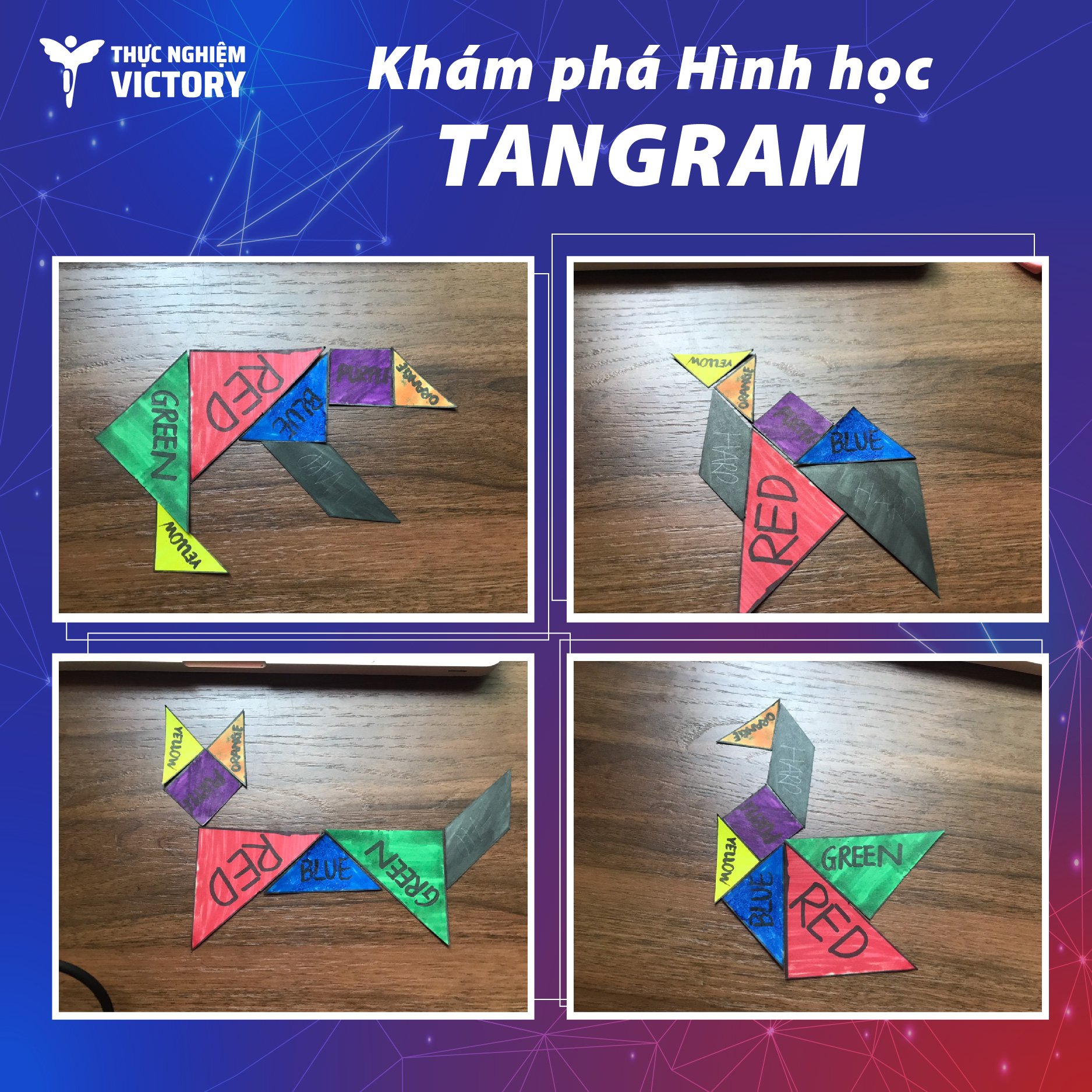 01be5c10aef158af01e0