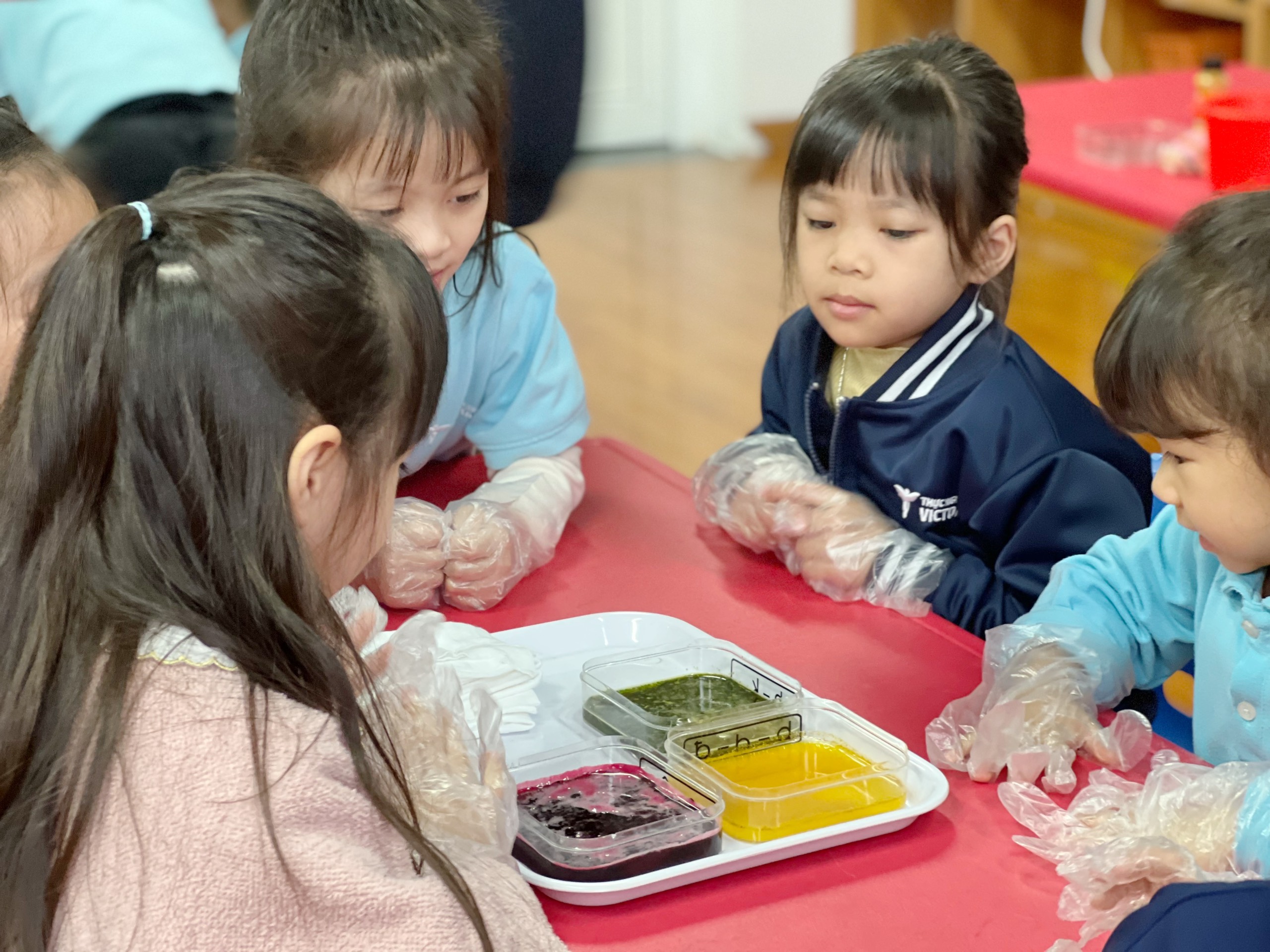 0be9c395c7fc1da244ed6 0be9c395c7fc1da244ed6