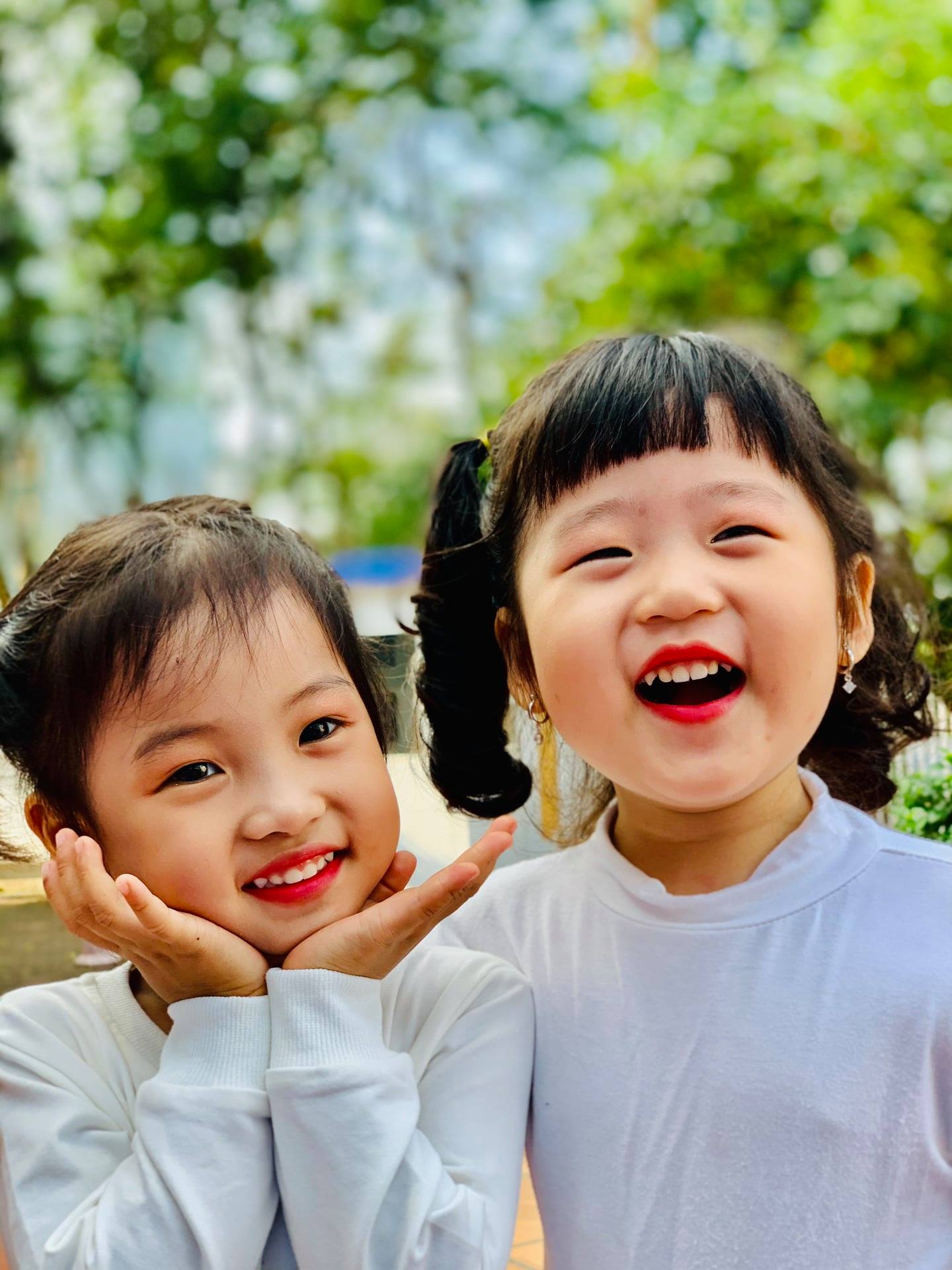 125234490 1267213003611985 5120653177164820250 o