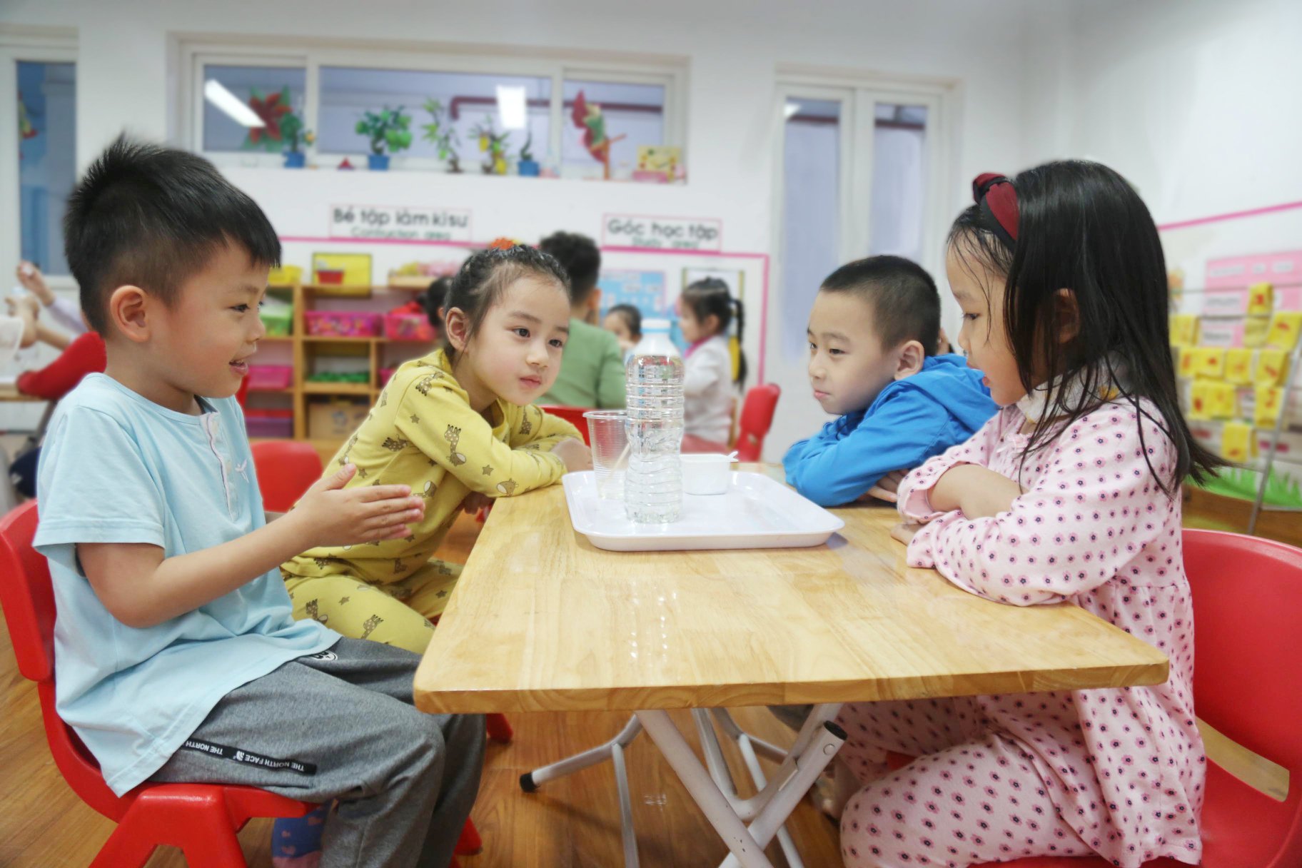 161587967 1347919955541289 5198015497874513783 o 1