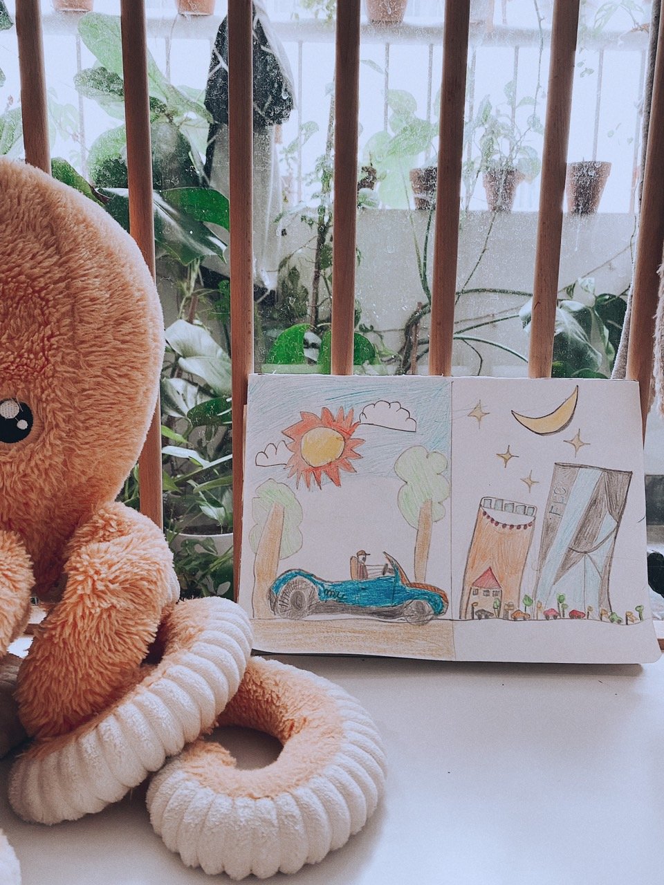 240460593 2166529666820475 5203198667359427568 n