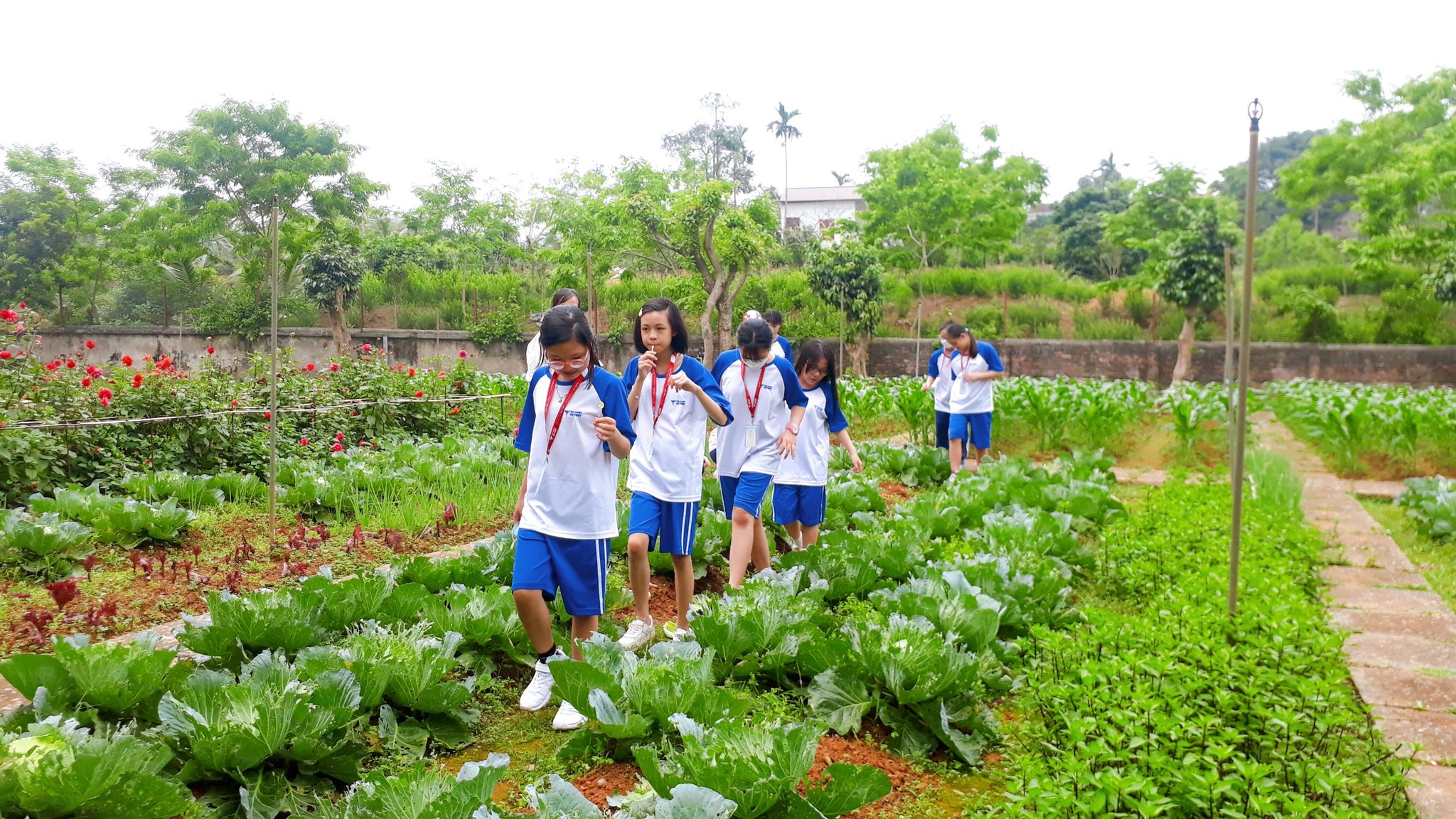 278350139 2358470277626412 2635179783339207021 n