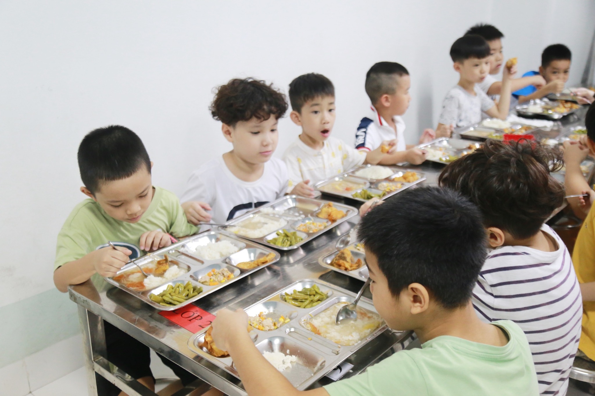 297717946 2454825687990870 2242638310763711636 n 1