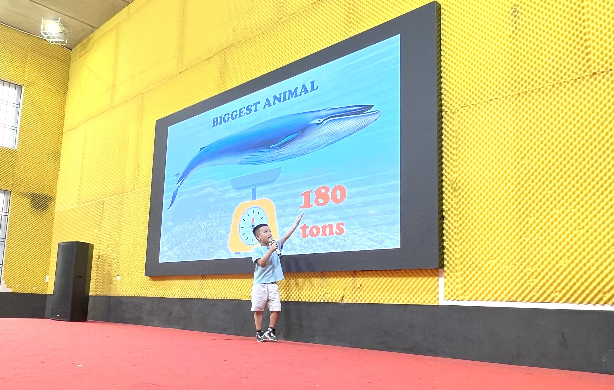 340337466 903439660868648 7083097036597517291 n 1