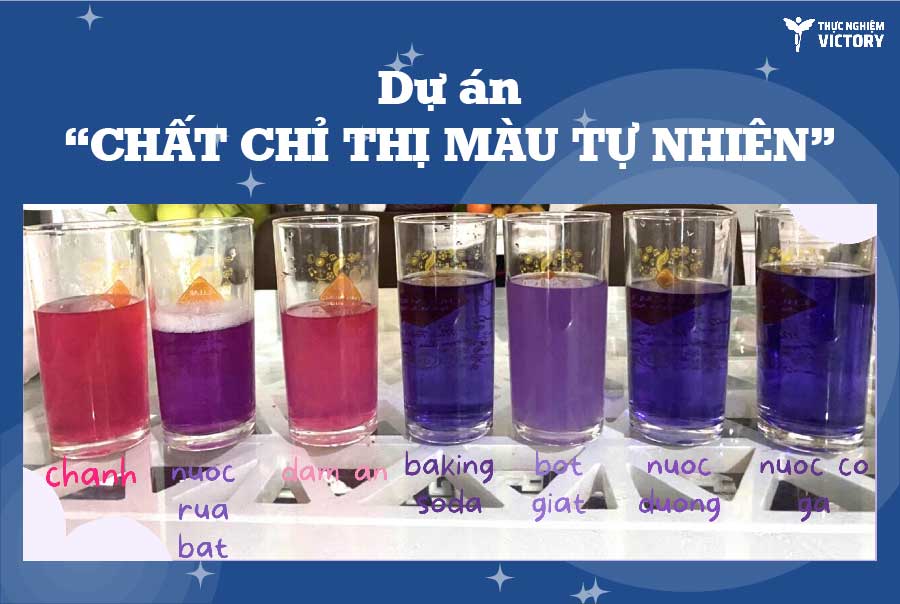 Chat chi thi mau tu nhien thumbs 03