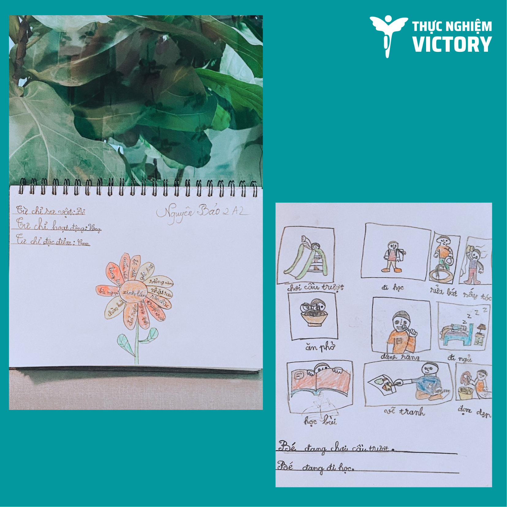 anh-vuong-1 anh vuong 1