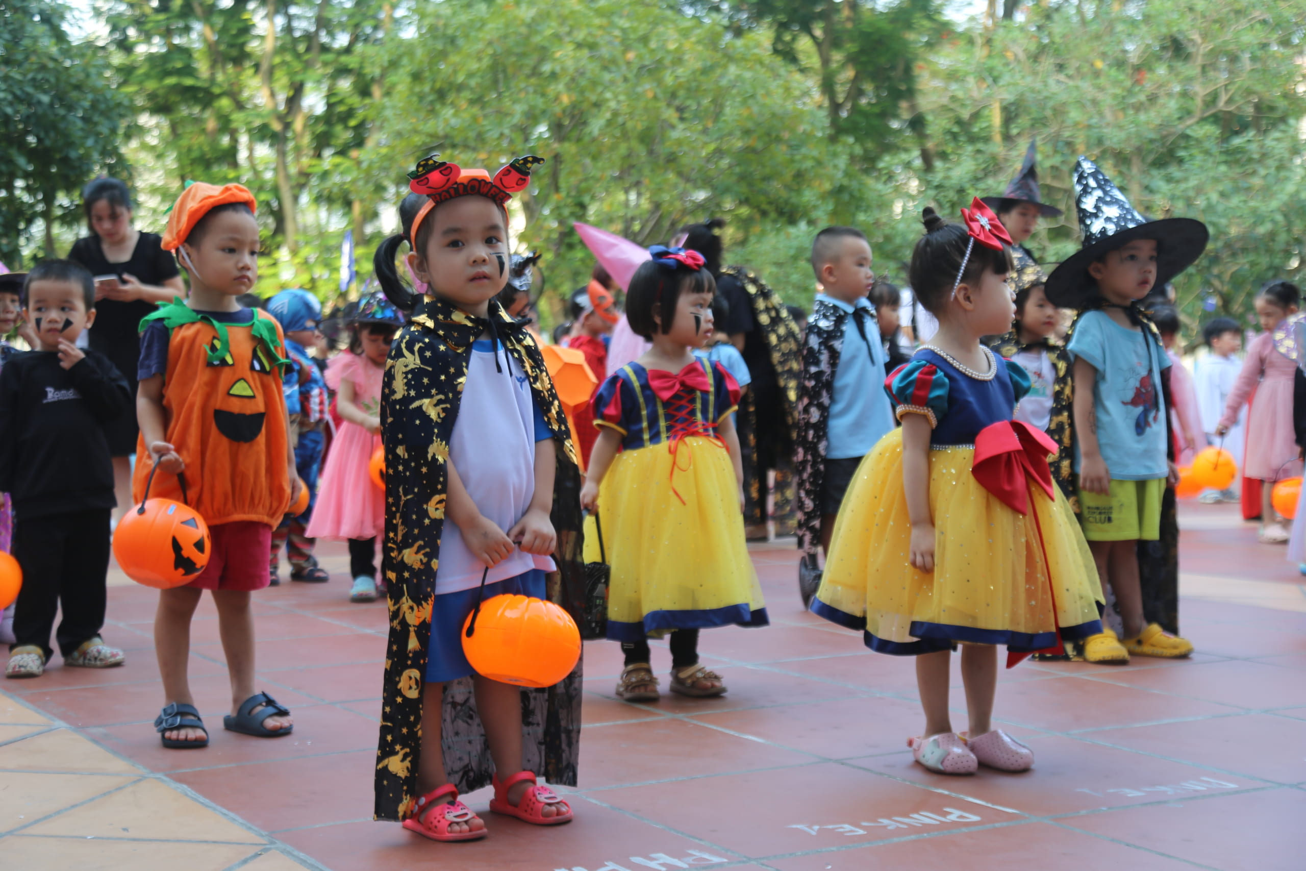 img_8358-scaled-1 img 8358 scaled 1