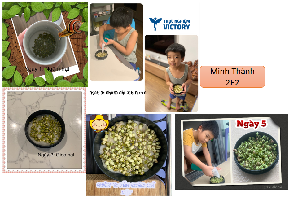 minh-thanh minh thanh