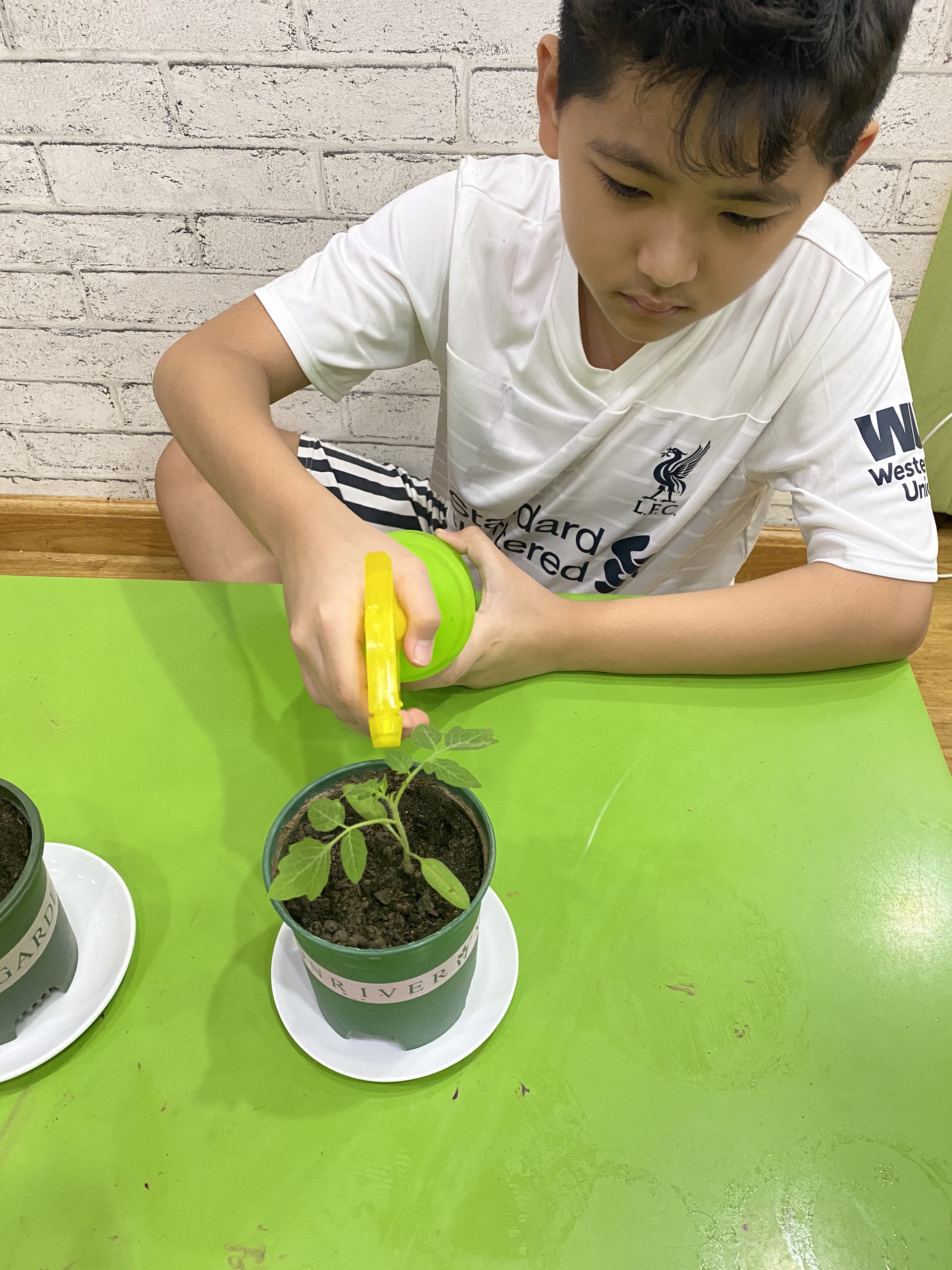 z2180735662236_09dd1e1ccf1bcedf0ac6338725e8b93e z2180735662236 09dd1e1ccf1bcedf0ac6338725e8b93e