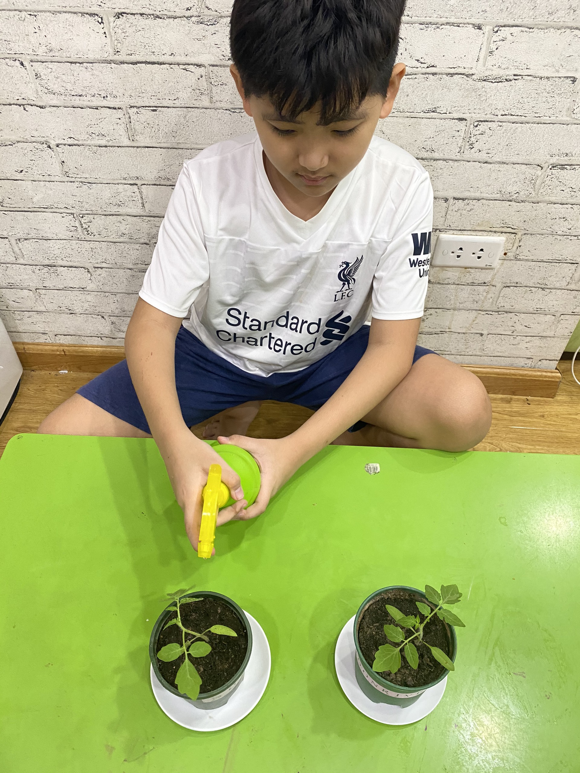 z2180735876845_230470ba79d3276879d9f9d44ee9fc75 z2180735876845 230470ba79d3276879d9f9d44ee9fc75