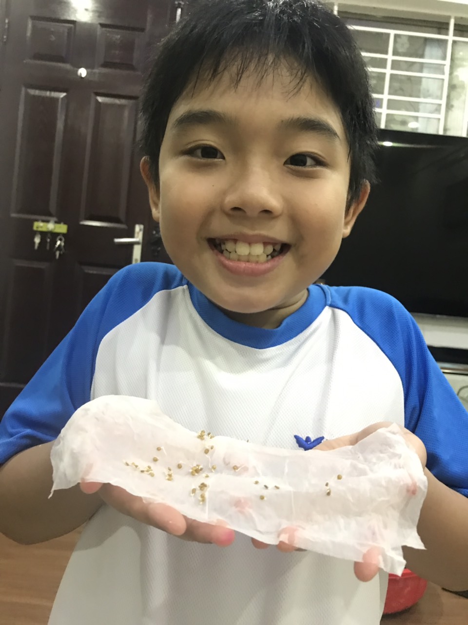 z2182323288834 f262d762f22ffafc57eb6944a6486772