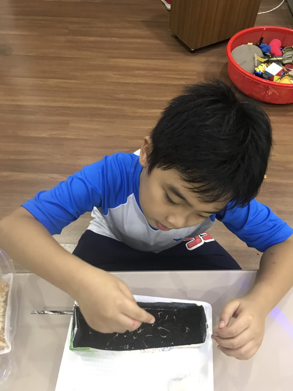 z2182323458809_3a5cfbee2415481a054ebfcf13beb536 z2182323458809 3a5cfbee2415481a054ebfcf13beb536