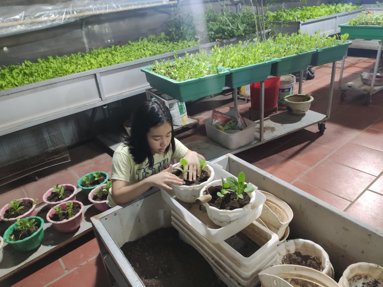 z2229070728667_ddfa824ccfa47a5fb1d5245aaf10322b z2229070728667 ddfa824ccfa47a5fb1d5245aaf10322b