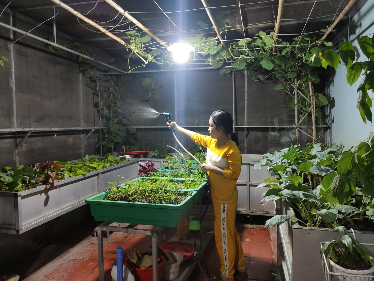 z2229070759048_a450552e5741388a9767b76b825b37e2 z2229070759048 a450552e5741388a9767b76b825b37e2