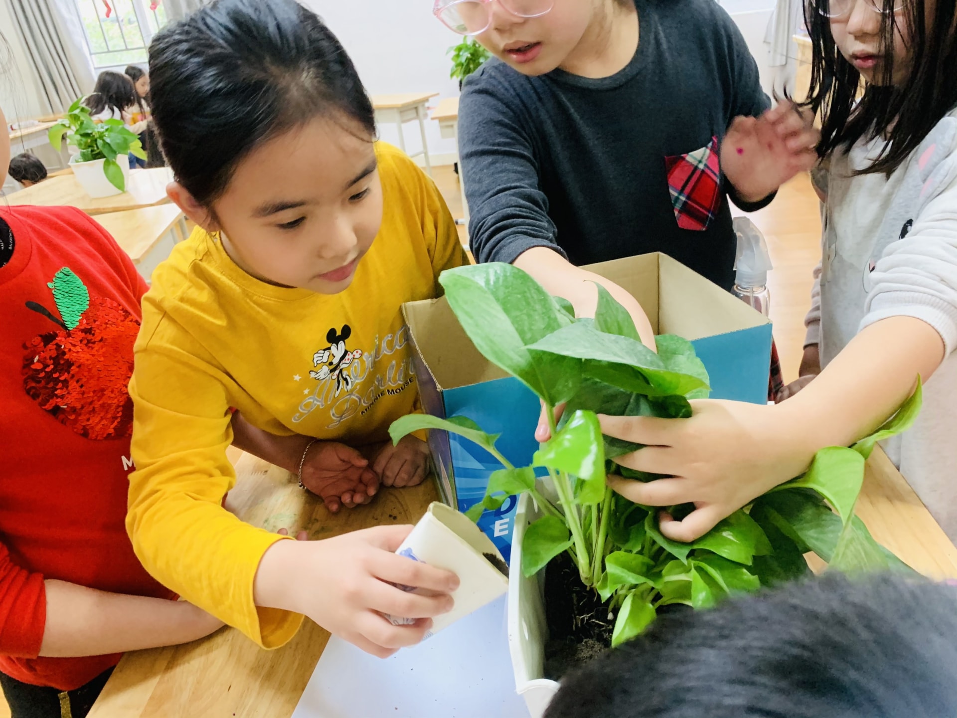 z2244416709122_9af83e7f8407342611d9f0b40b1a8054 z2244416709122 9af83e7f8407342611d9f0b40b1a8054