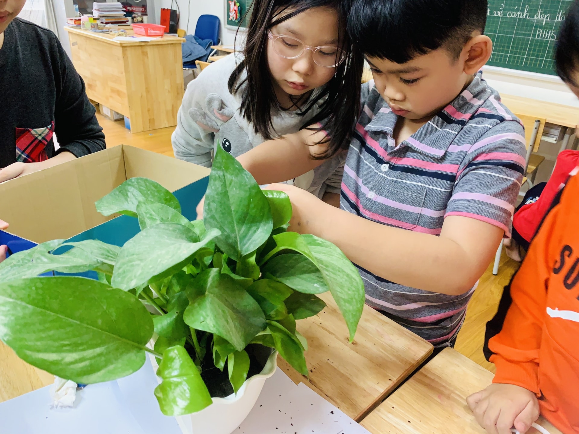 z2244416870022_68ecf7d8d6f6cff501370d61eaadf9d1 z2244416870022 68ecf7d8d6f6cff501370d61eaadf9d1