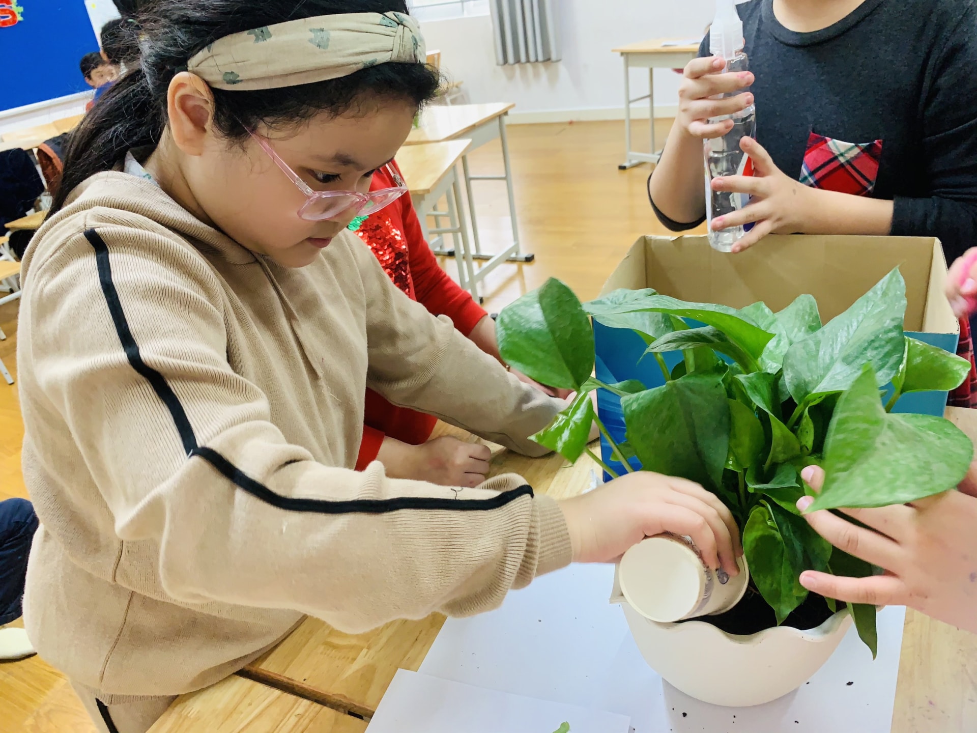 z2244416949031_a5a1ce325f2a234c0bf9ec3966f6e68d z2244416949031 a5a1ce325f2a234c0bf9ec3966f6e68d