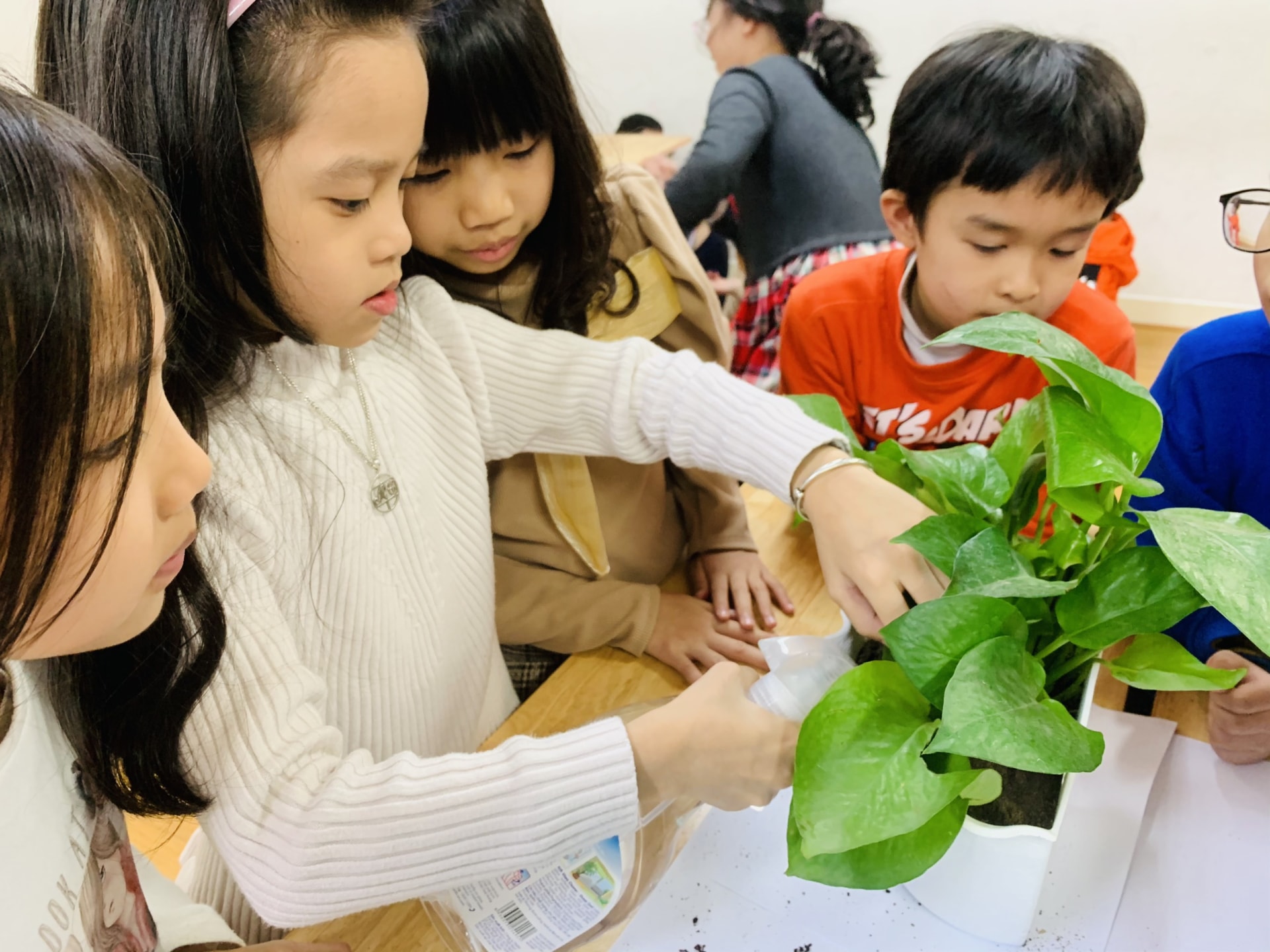 z2244417281141_858db463d84157f7d29376036b2d3f84 z2244417281141 858db463d84157f7d29376036b2d3f84