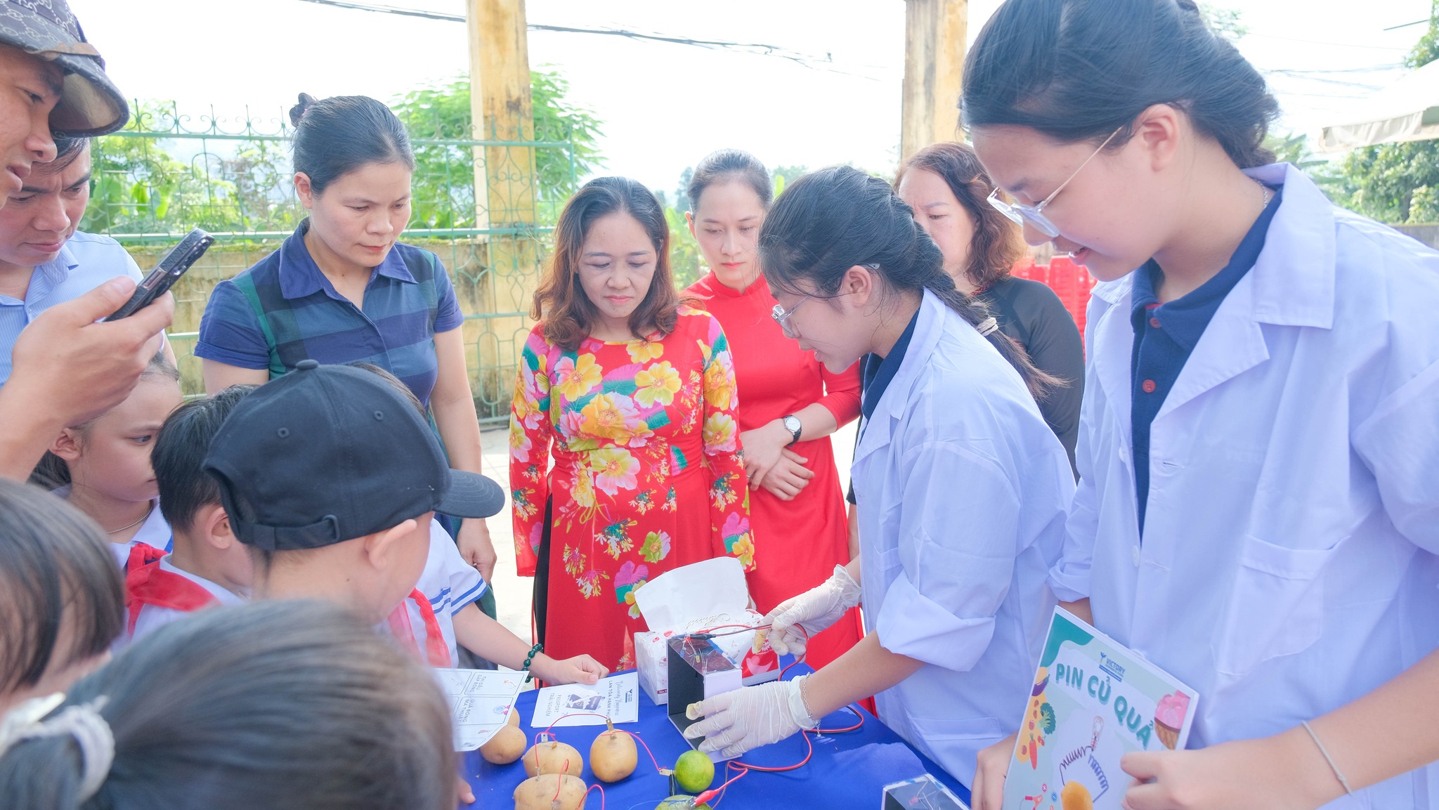 456032564 902252918595285 7414639329552440360 n