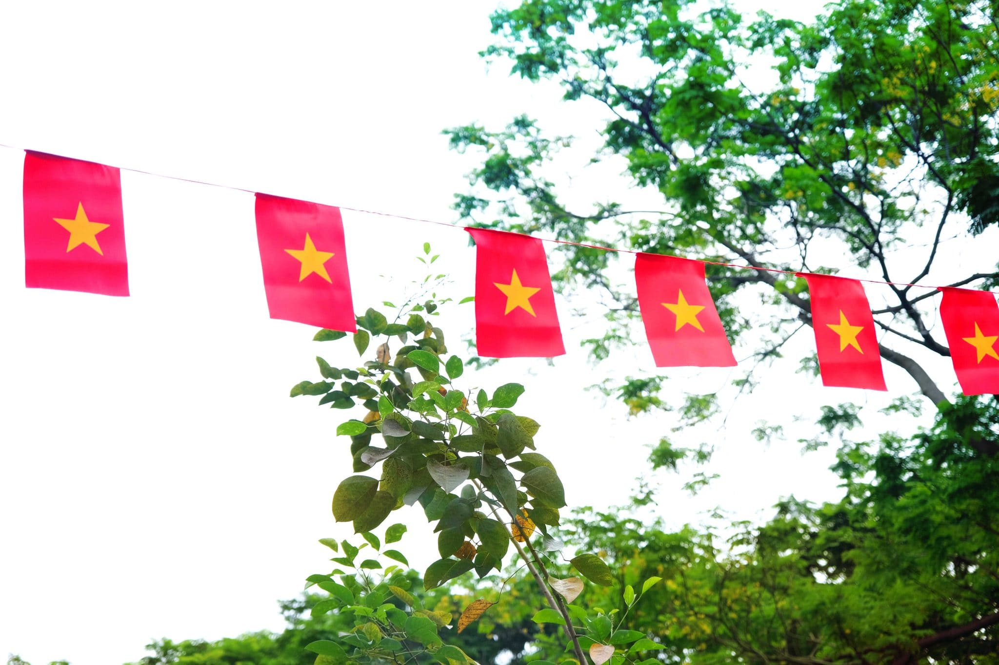 50 NĂM NON SÔNG LIỀN MỘT DẢI, VICSERS TỰ HÀO VIẾT TIẾP CÂU CHUYỆN HÒA BÌNH 6 493215906 1097296989090876 8287848190192094948 n