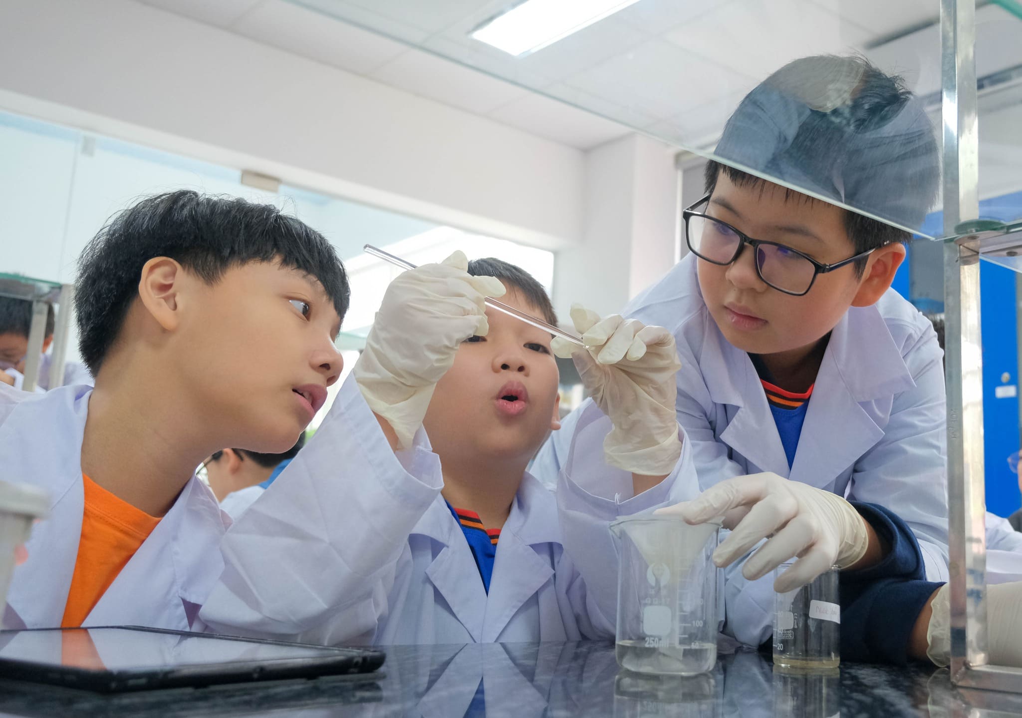 579638981 122172442820590852 3186984125676944156 n